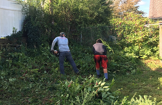 Yard Cleanups