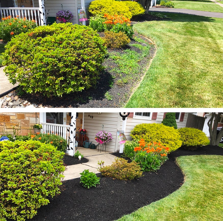 mulch maintenance before and after