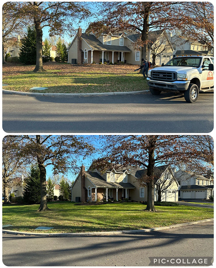 Leaf Cleanup before and after
