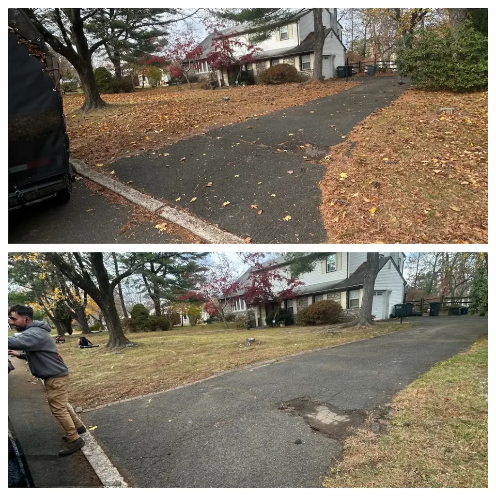 Before and after professional leaf cleanup service showing complete leaf removal from a residential driveway and front yard, leaving the property clean and ready for the season