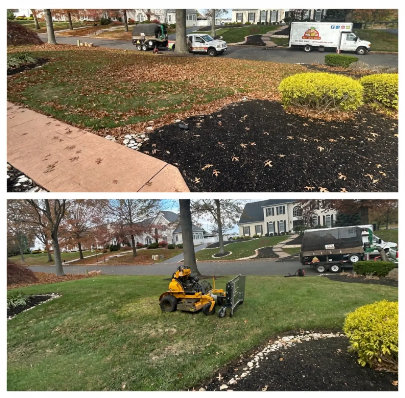 Before and after professional leaf cleanup service at a residential property